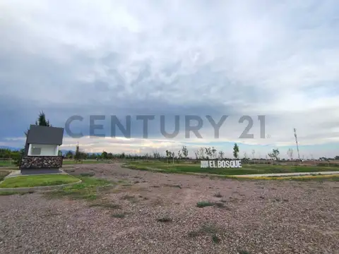 Terreno en Venta 30  mts Fondo