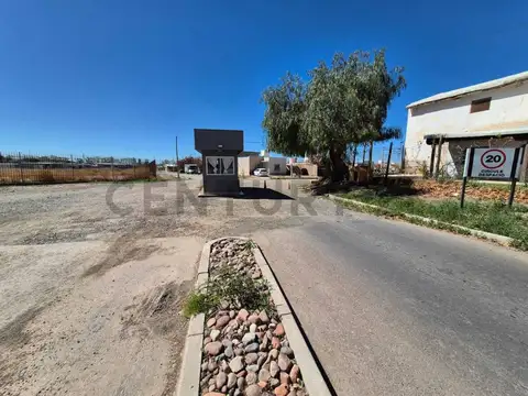 Pascual Segura s/n , Piso 0