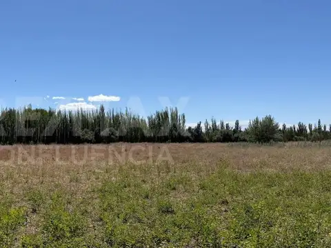 Calle rural A13 y calle rural A6