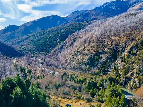 Campo Cuesta del Ternero