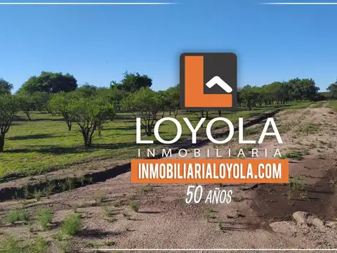 Lotes de 880 metros Cortaderas San Luis
