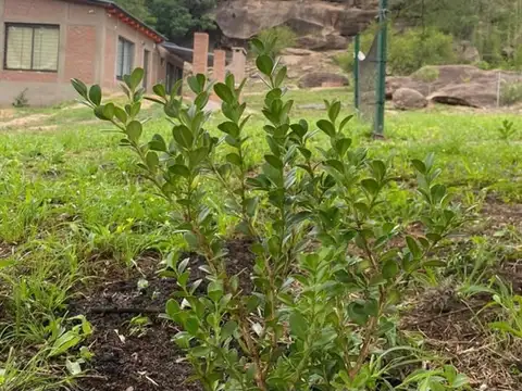 Casa en Venta de 1 dormitorio