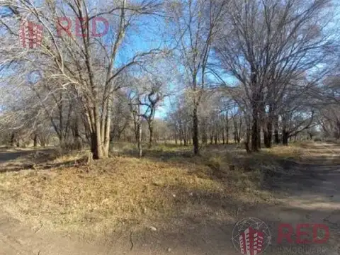 Terreno en Venta 52  mts Fondo