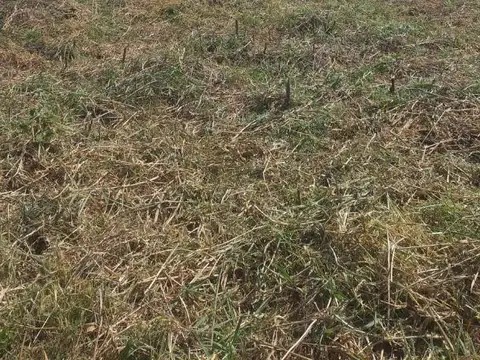 Terreno en Venta en Candelaria, USD 12.300