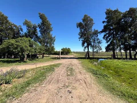 Chacra en Colonia 18 de Julio, Salto