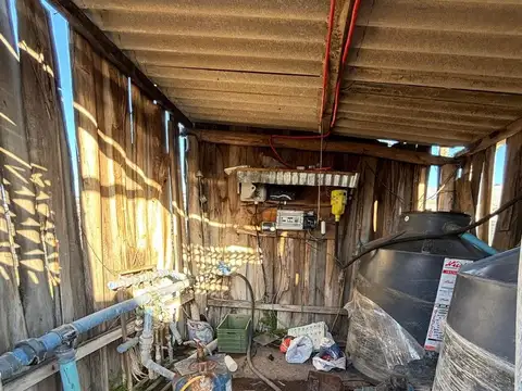 Chacra en Colonia 18 de Julio, Salto