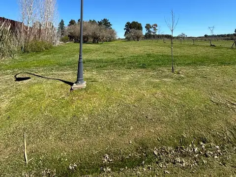 Terreno en Venta 75  mts Fondo