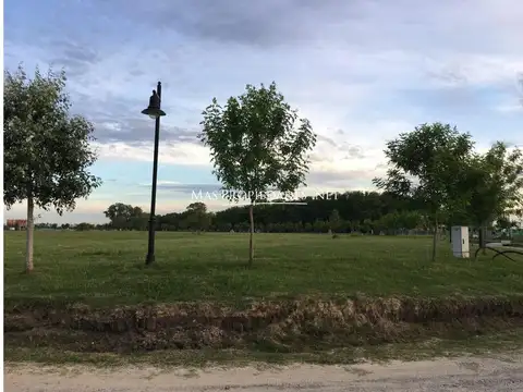 Terreno en Venta 50  mts Frente