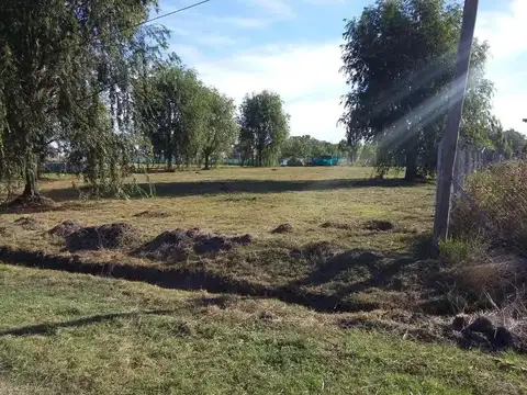 Puerto de Palos e/ Roma y Paris