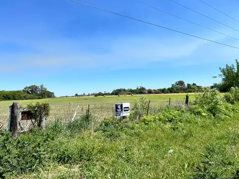 Campo Mixto Gobernador Candioti