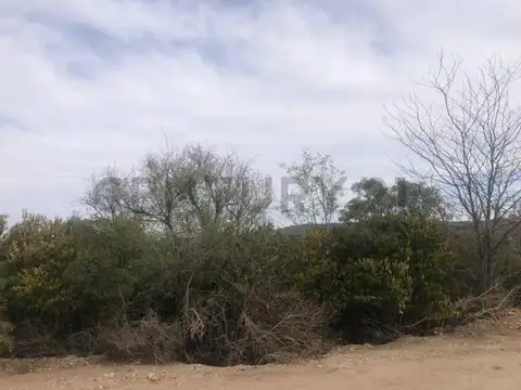 Homero Mansi , Piso 0