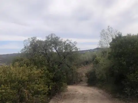 VENTA Terrenos en La Falda con vista privilegiada – Ideal para casa o cabañas