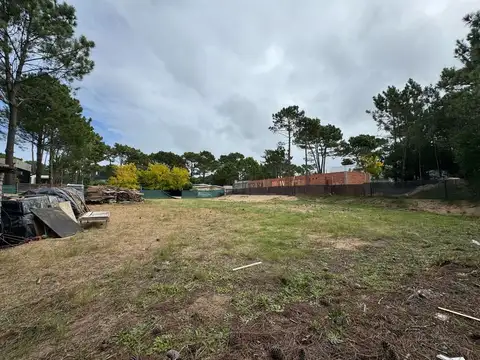 Lote Terreno Venta Alamos Pinamar Lote unico