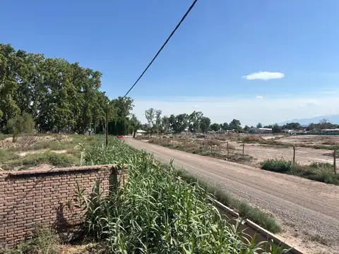 Mathus Hoyos y Teniente Ibañez