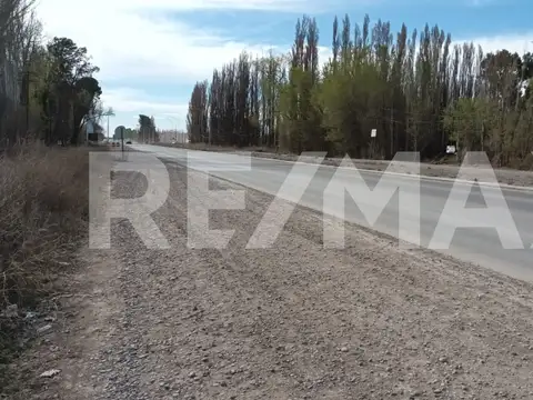 Terreno en Alquiler en Centenario, USD 1.000