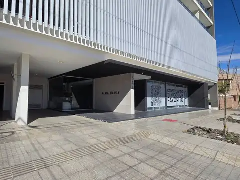 Antártida Argentina 300