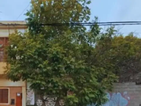 Consultar dirección