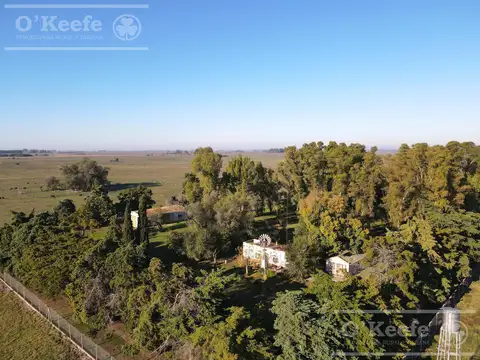 Campo en venta 1030 has sobre Autovia 2. Apto club de campo