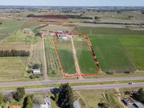 Galpon en Venta 51 años