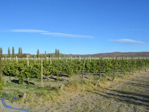 Propiedad en Los Altares