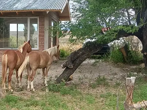 Campo en Venta de 3.636  ha