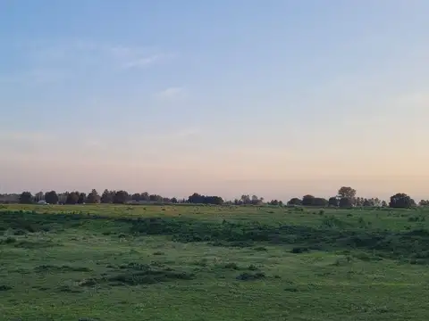 53 hectareas CAMPANA Ruta 9