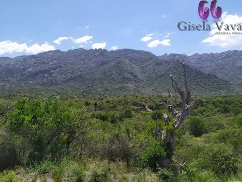 Terreno en Venta de 7250,0 m2