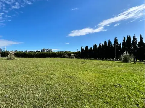 Chacra de 1 Hectarea con Dos Casas de 3 Ambientes Tomas Jofre F: 10293