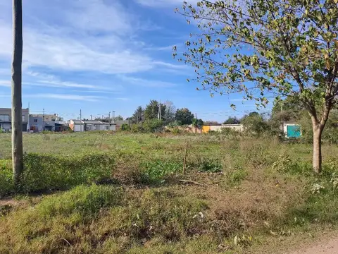 TERRENOS/FRACCIONES/LOTEOS - TERRENOS - SAN PEDRO