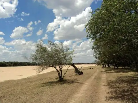 Campo - Venta - Paraguay, Paraguay