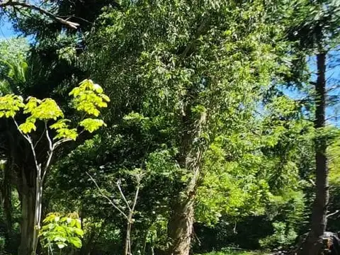 LOTE EN VENTA CALLE PRINCIPAL, CLUB DE CAMPO EL MORO, MARCOS PAZ