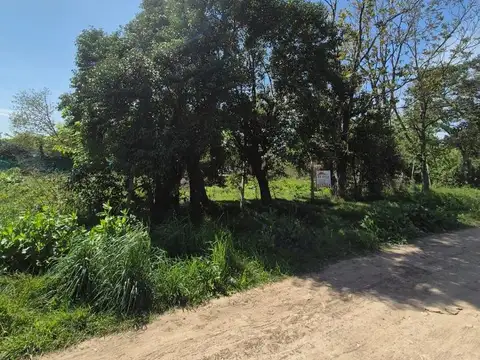 Terreno en Venta de 460,0 m2