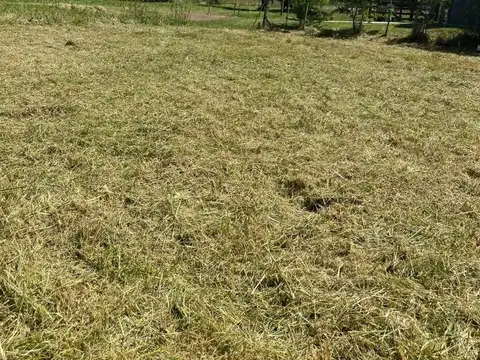 Avenida 3 y Las Lilas