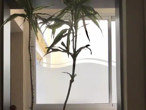 Departamento en Alquiler de 6 ambientes