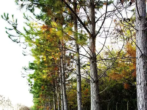 CAMPOS DE ROCA II RUTA 2 KM 65