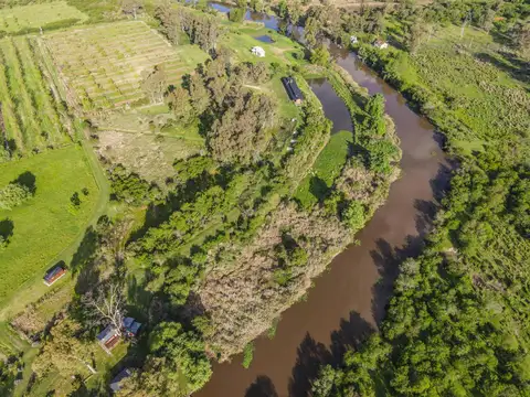 Predio de 2 has con Plantación de árboles Pecán