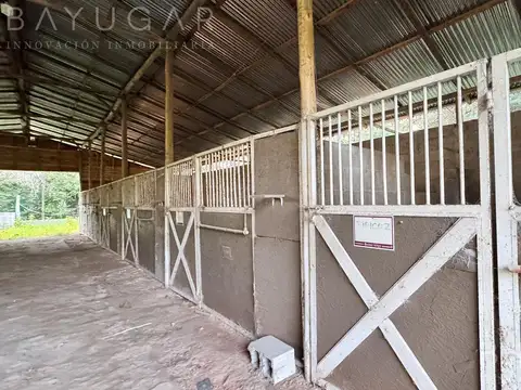 Terreno en Venta en Manzanares, USD 490.000