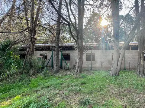 Terreno en Venta de 12370,0 m2