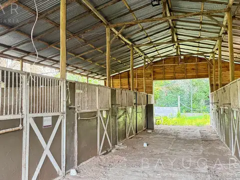 Terreno en Venta de 12370,0 m2