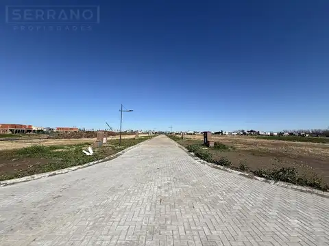 Terreno en Venta 42  mts Fondo