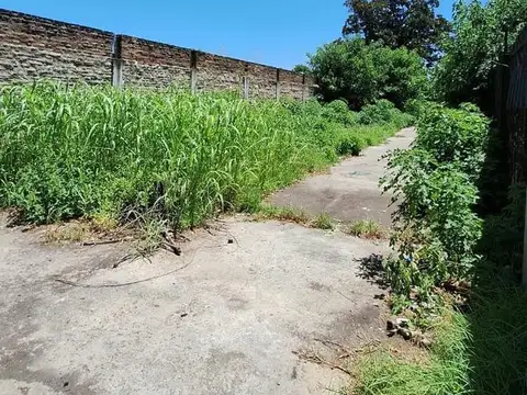 Terreno en Alquiler 35  mts Fondo