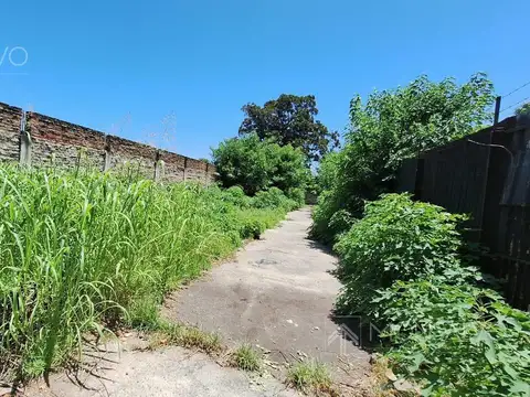 Terreno en Alquiler de 290,0 m2