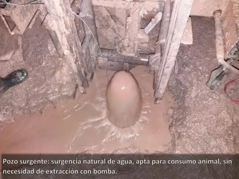 En venta campo en Clodomira - La Banda - Santiago del Estero