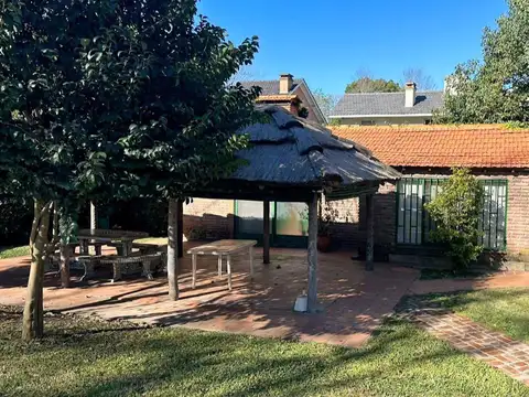 Au. Panamericana 100