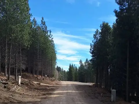 Terreno en Venta de 700,0 m2