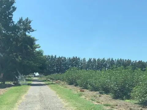 Quinta en Venta en Florencio Varela, USD 270.000