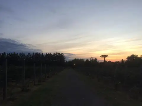 Quinta en venta - 2 Dormitorios 1 Baño - 100.000Mts2 - Florencio Varela