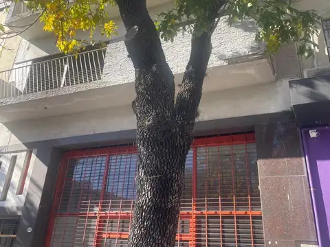 Avenida Juan Bautista Alberdi 4800, Piso Ave