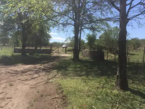 SANTA CATALINA, ASCOCHINGA 9,3 HA