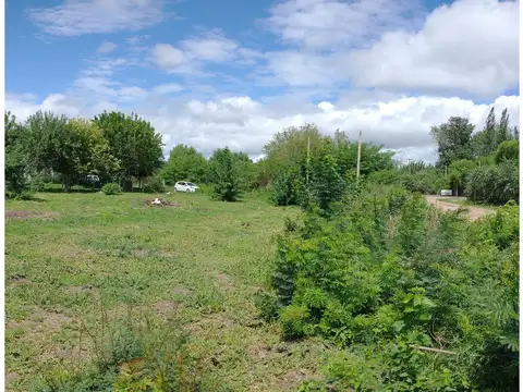 Camino Real Y Colón